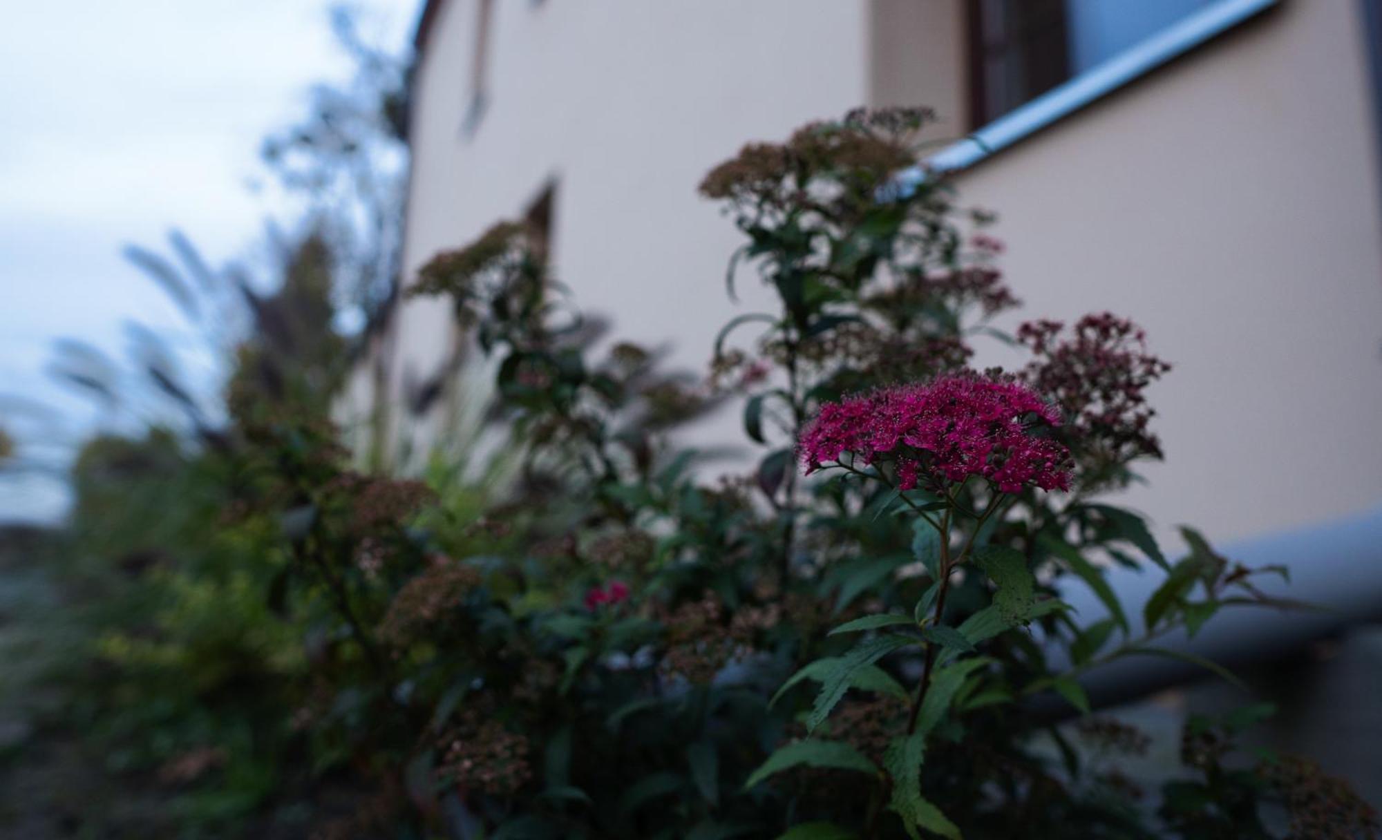 Uroczysko Olesnica Bed & Breakfast Chodziez Exterior photo